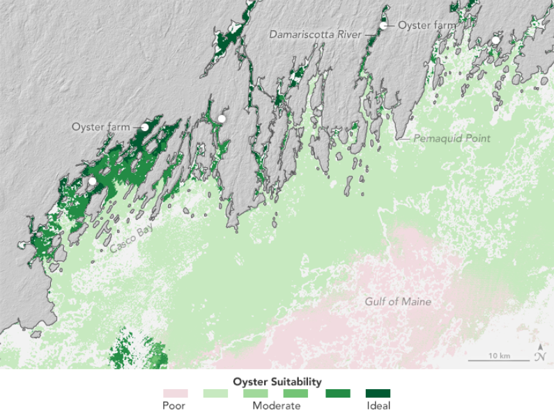 oyster suitability map