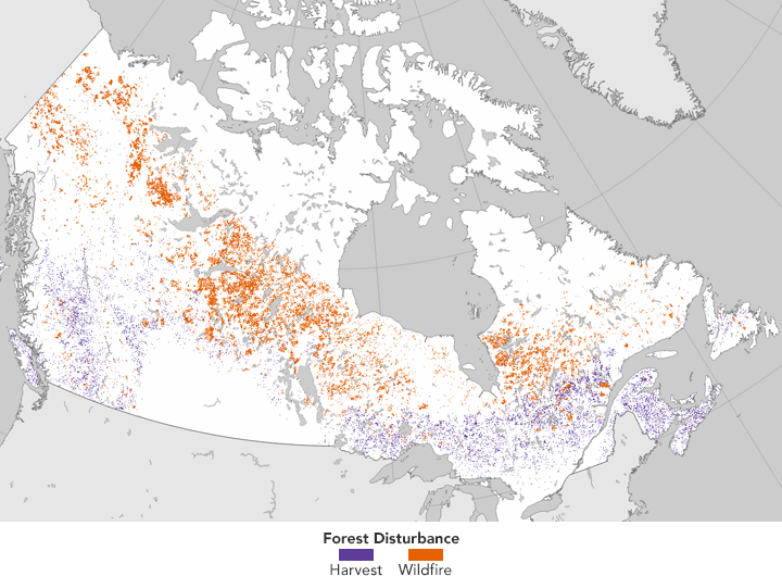 Harvested and burned forests of Canada from 1985-2010