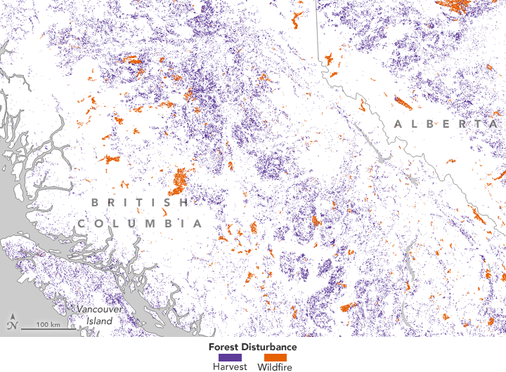 forest disturbance in British Columbia, 1985-2010