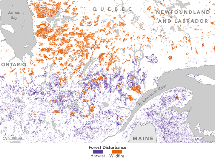 forest disturbance in Quebec Province, 1985-2010
