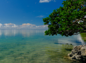 clear water in Florida Keys