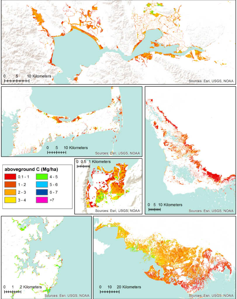 maps of aboveground carbon density in selected tidal marshes
