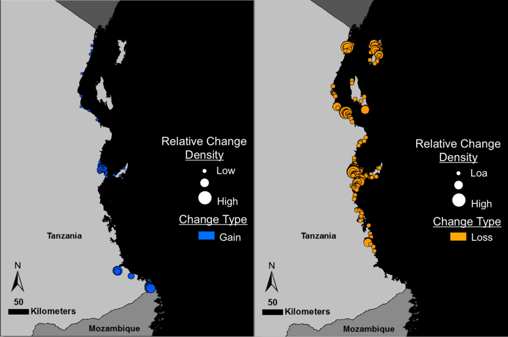 Tanzania mangrove gain and loss maps
