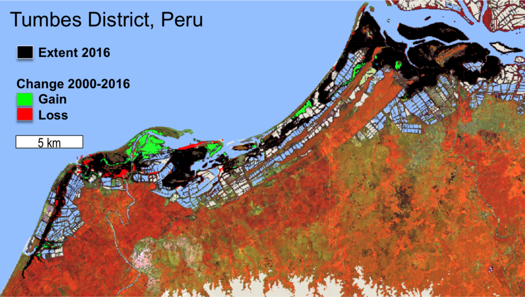 Mangrove change in Peru