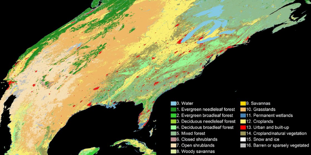 land cover map based on Zhang's program