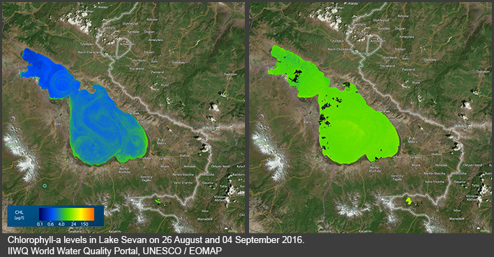 Chlorophyll-a levels in Lake Seven, summer 2016