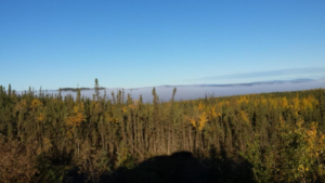 Fog along the Yukon River