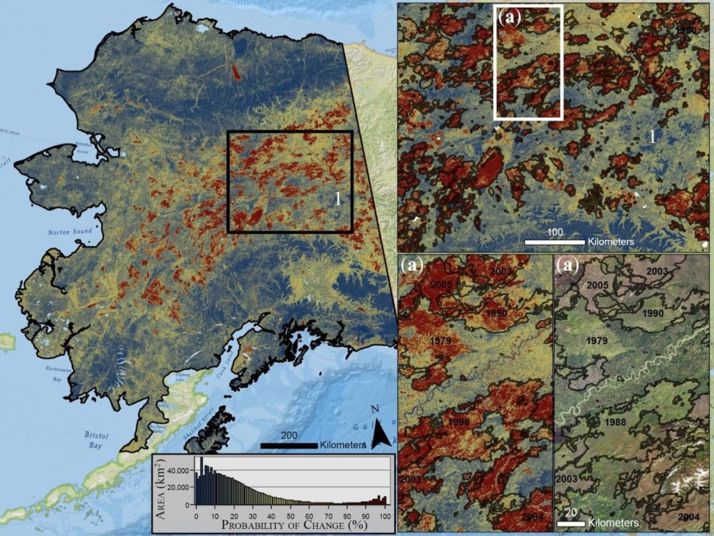 Probability of land cover change in Alaska