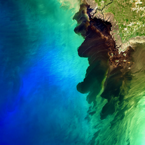 Landsat 8 image, the blackwaters of the Suwannee