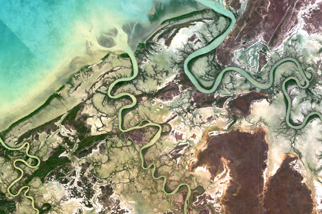 Flinders River estuary at low tide