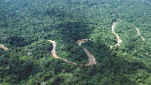 river winding through Amazonia