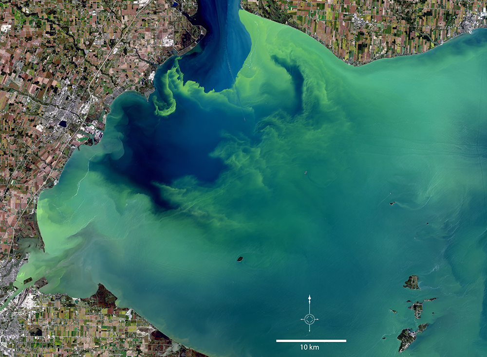 Satellites On Toxic Algae Patrol Landsat Science