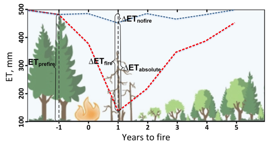 A conceptual figure showing fire impacts on annual vegetation evapotranspiration and its recovery after fires.
