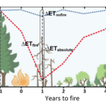 How ET is affected by forest fire.