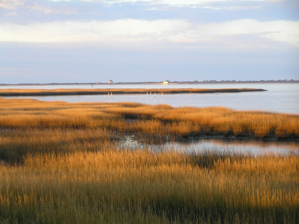 Salt marsh on Toms Cove on Assateague Island, overlooking the Coast Guard Station and boathouse.