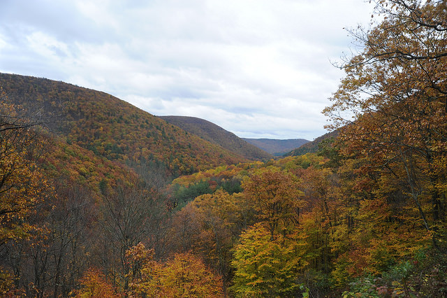 Pennsylvania’s Tiadaghton State Forest with fall foliage