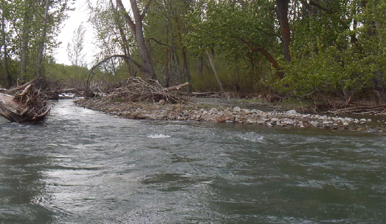 Photograph of a secondary avulsion channel in a Yakima County river in Washington