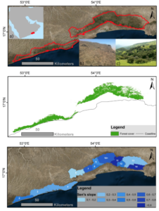 tudy region. The red outline depicts the extent of the Dhofar mountain study region, inset a) shows its location on the Arabian Peninsula, inset b) depicts a dry season, and inset c) depicts post-monsoon vegetation.