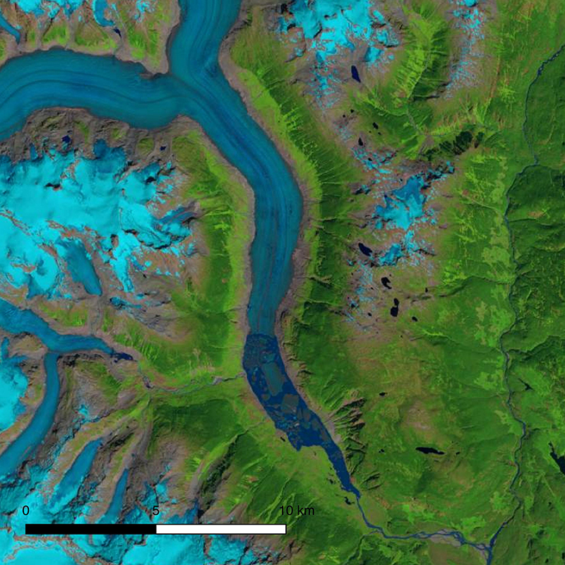 Landsat image showing snout of Klinaklini Glacier in late summer 2018.