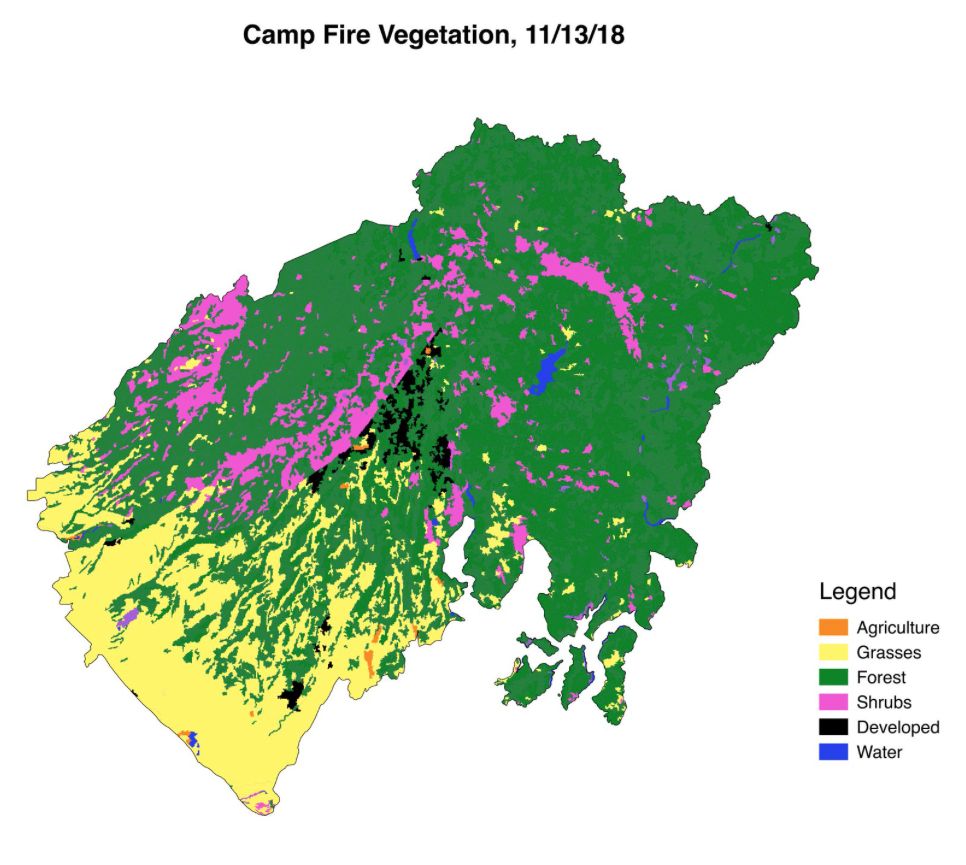 vegetation cover - Camp Fire