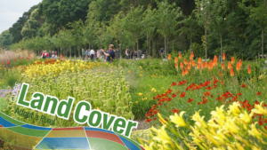 Land Cover image/photo