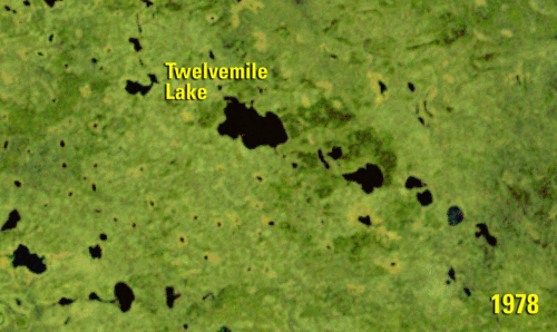 the changing Twelvemile Lake