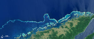 coral reefs on the northern shore of Vanua Levu, Fiji