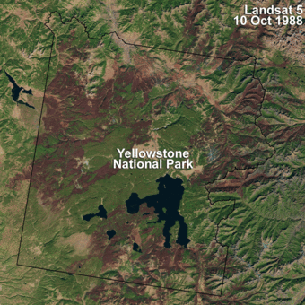 Yellowstone data showing burned area