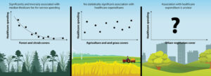 vegetative land cover