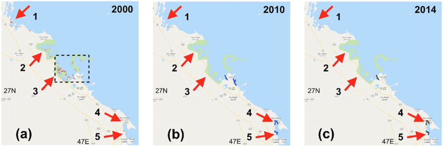Comparison of 2000, 2010, and 2014 mangrove maps for the Saudi coast