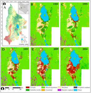 Landsat-mapped spread of Prosopis