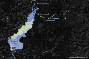 Data from Landsat 8 can be used to detect high concentrations of chlorophyll-a