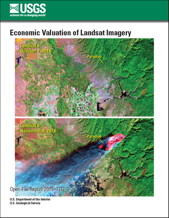 economic value image