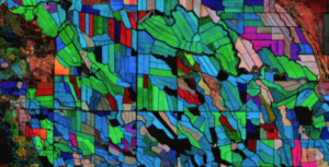 multitemporal Enhanced Vegetation Index-2 information from HLS for an area of irrigated cropland of Central California