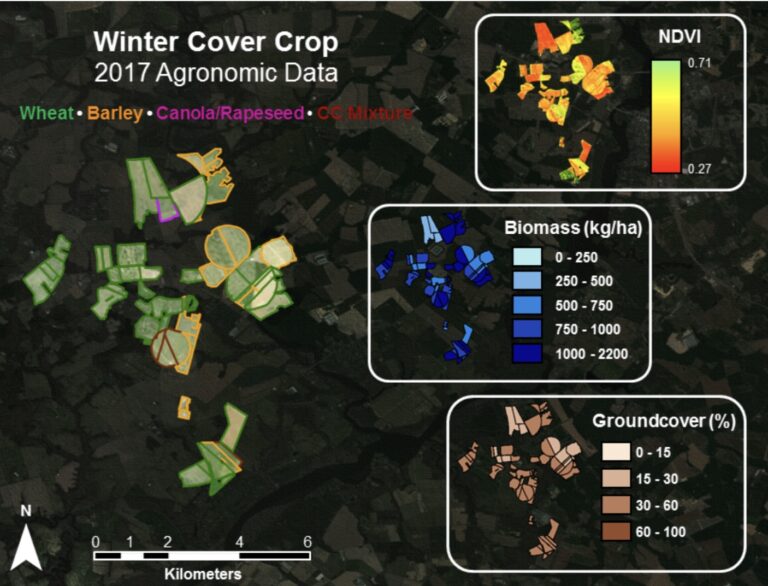 Map of 2017 winter crop cover