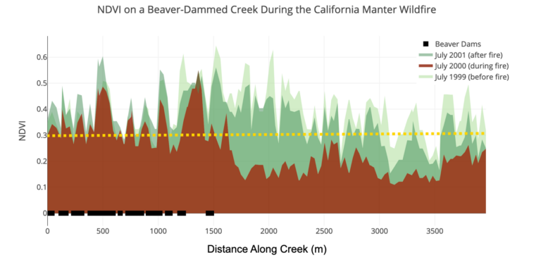 NDVI Beaver Dam