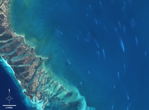Landsat 8 image of Whitings on Little Bahama Bank