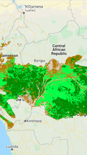 Forest quality map detail - Africa