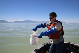 Taking water samples from Utah Lake, Utah