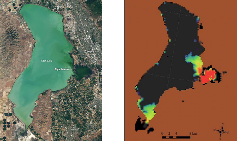 Early Detection of Algae ‘Blooms’ by Satellite Yields Healthcare