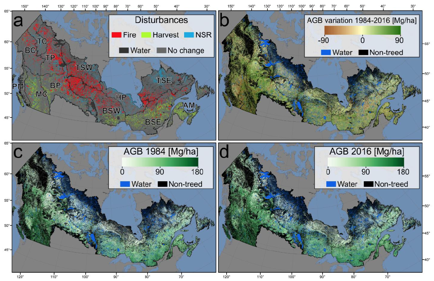 Canadian forest cover and biomass changes