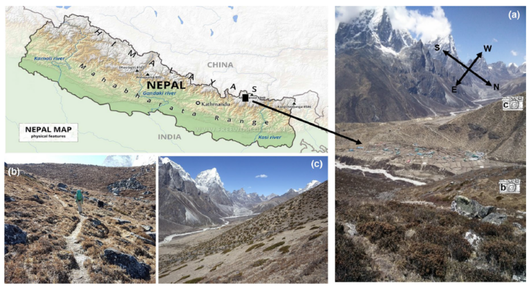 The photos here show what subnival ecosystems in Nepal’s Sagarmatha National Park