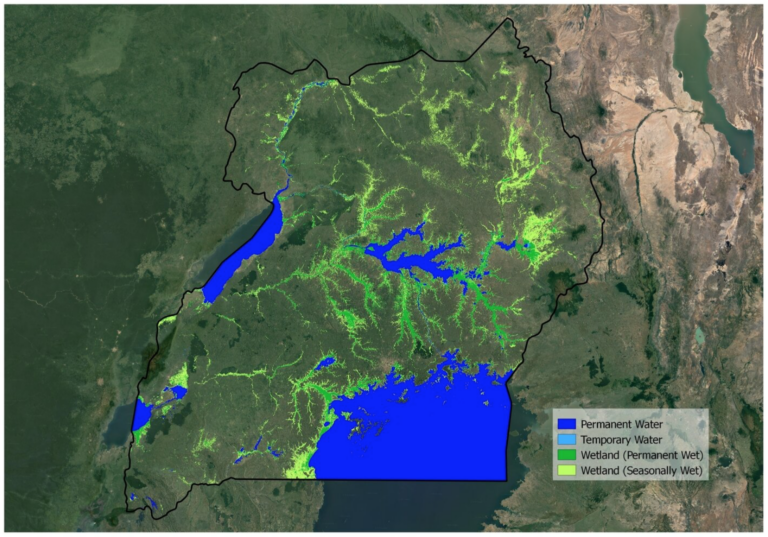 wetlands of Uganda