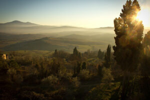 A rural Tuscan landscape