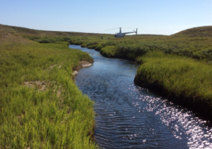 When the National Petroleum Reserve in Alaska warms up during summer