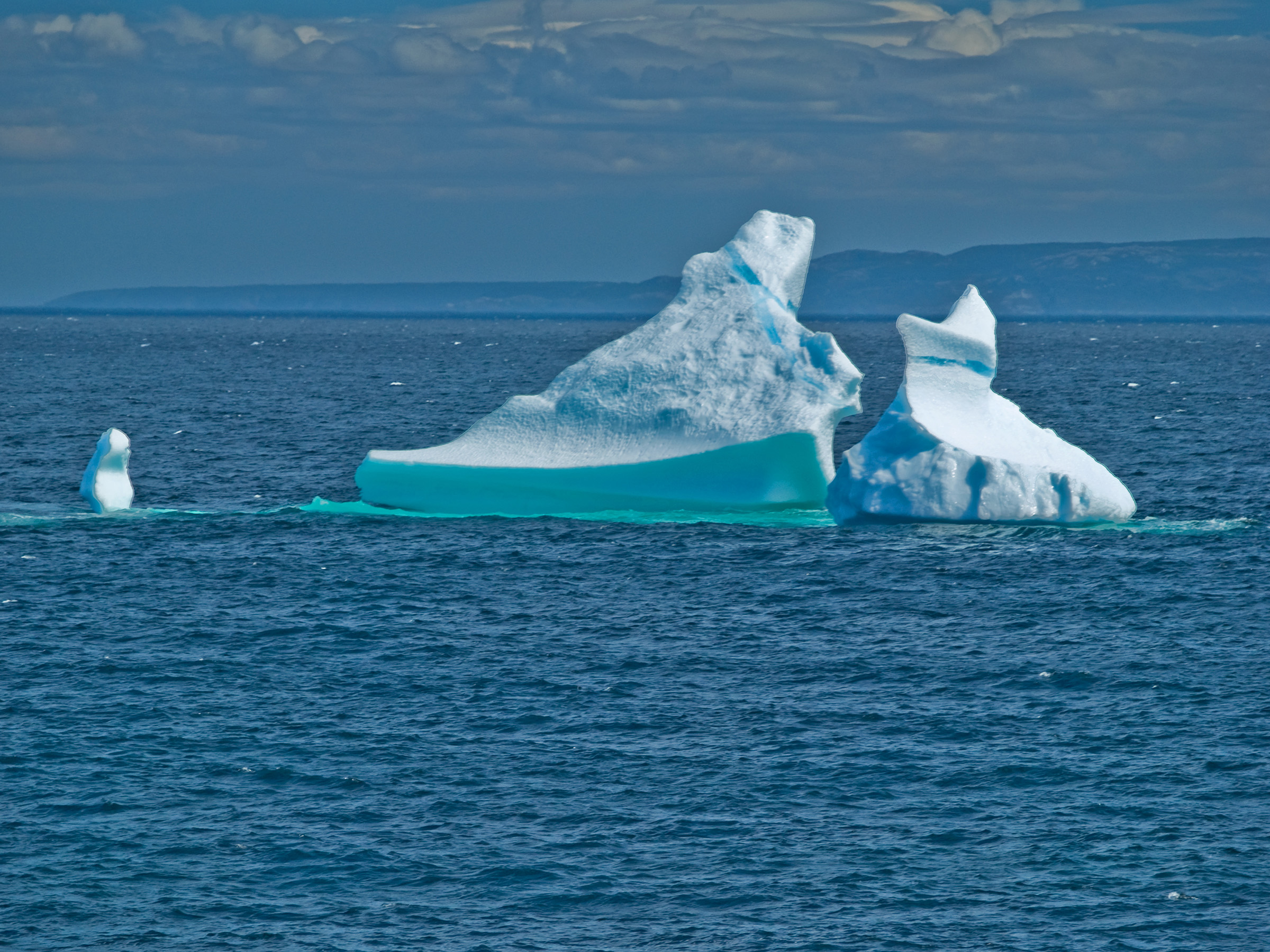 Icebergs near shore