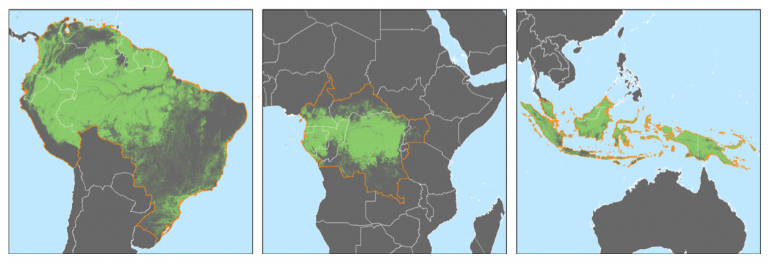 Forested areas covered by Global Forest Watch alerts 