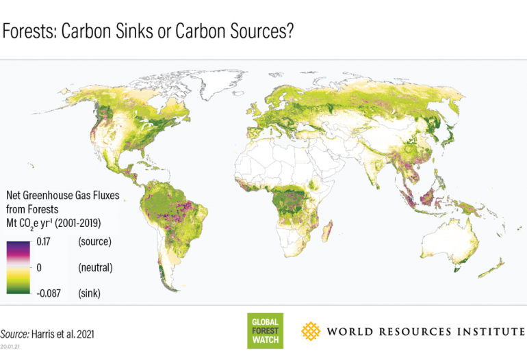 Map of global forests showing which are carbon sinks and sources