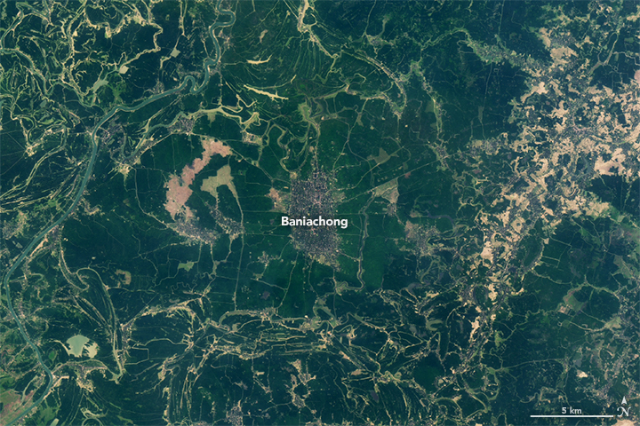 Landsat 8 image of rice fields in Baniachong, Indonesia