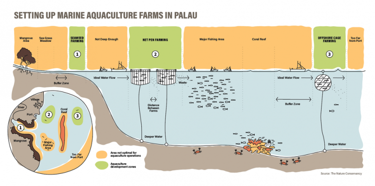 Aquaculture infographic